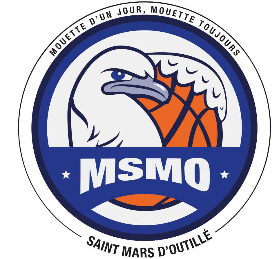 Les mouettes de Saint Mars d'Outillé